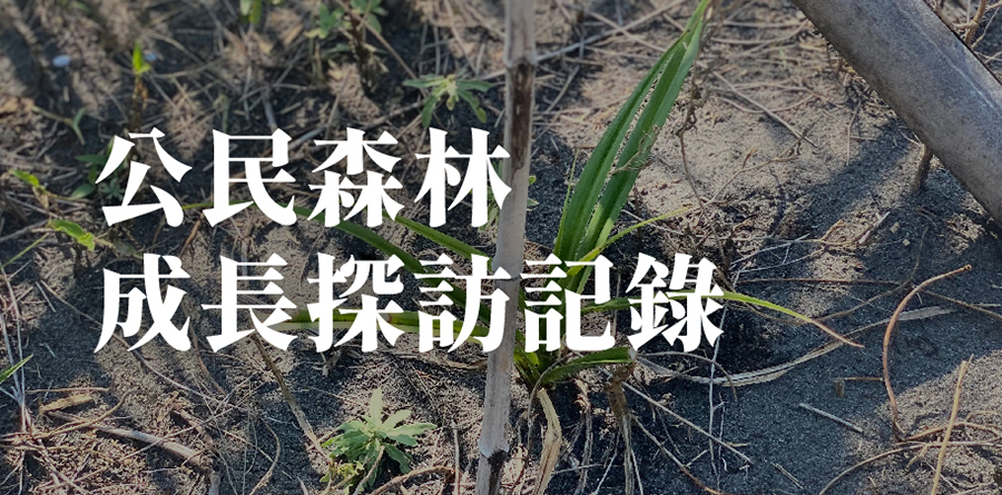 63ed8f411cd0bae1aa6f556c